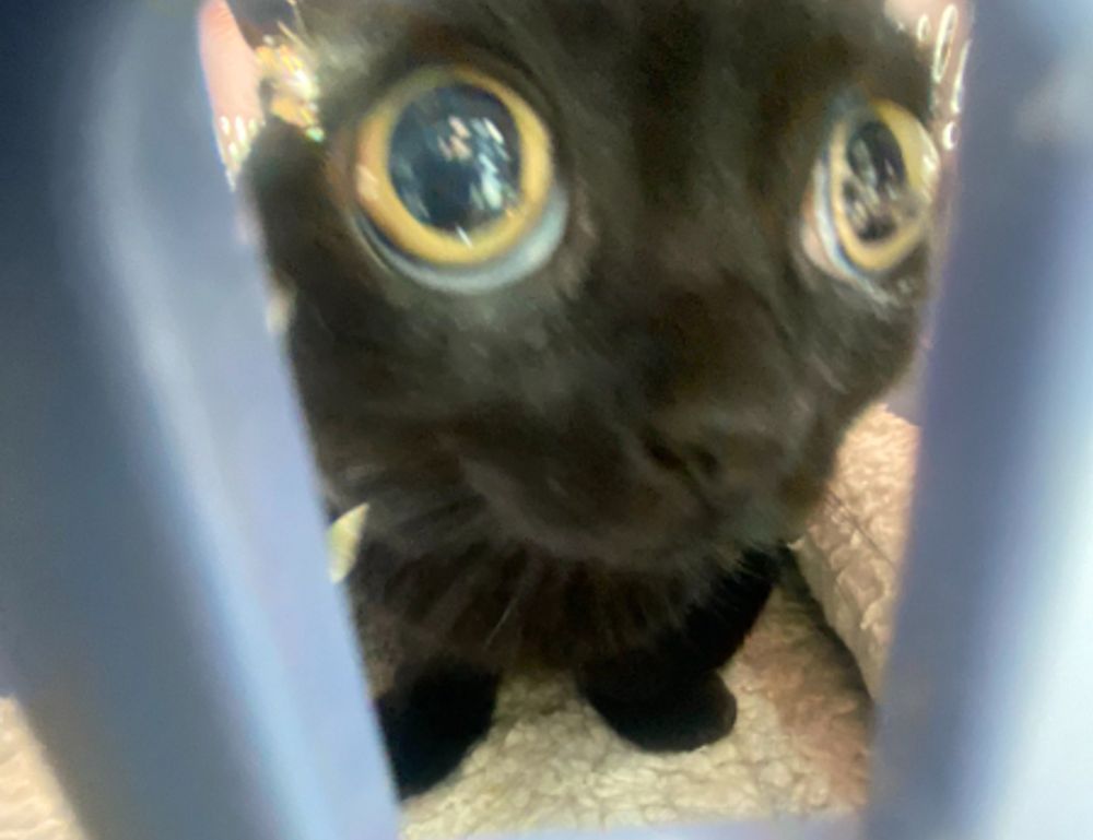 0297xud8 python code error