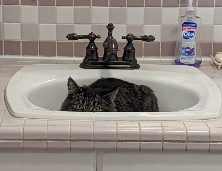 errorcode dropbox 8737.idj.029.22