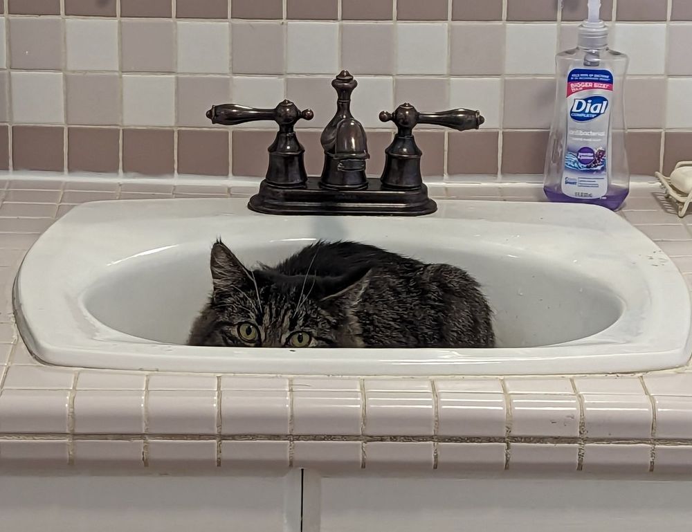 errorcode dropbox 8737.idj.029.22