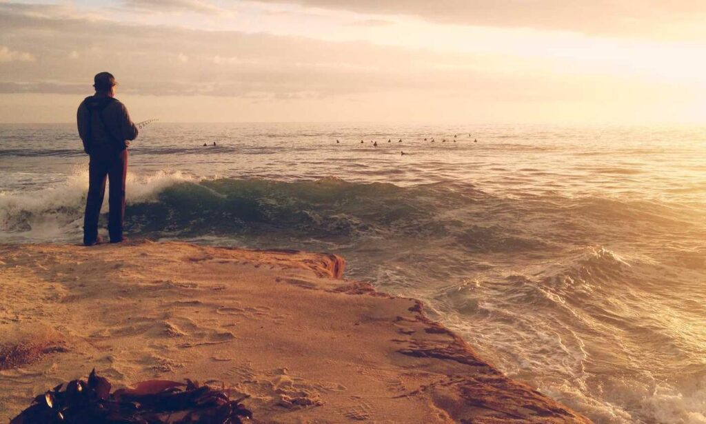 improve software meetshaxs in future