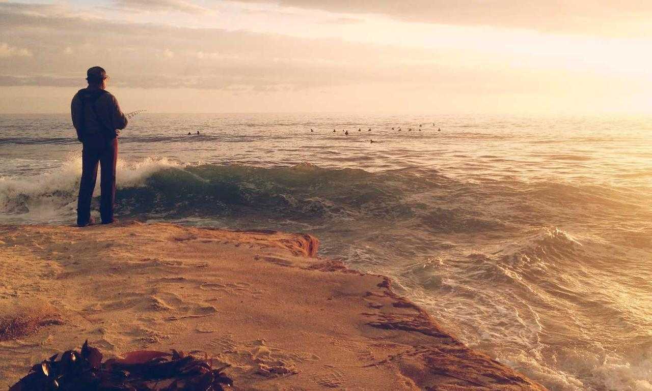 improve software meetshaxs in future