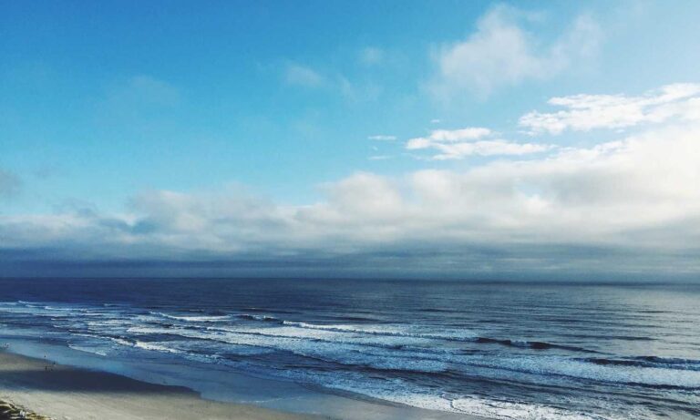 is higossis brush good for concealer