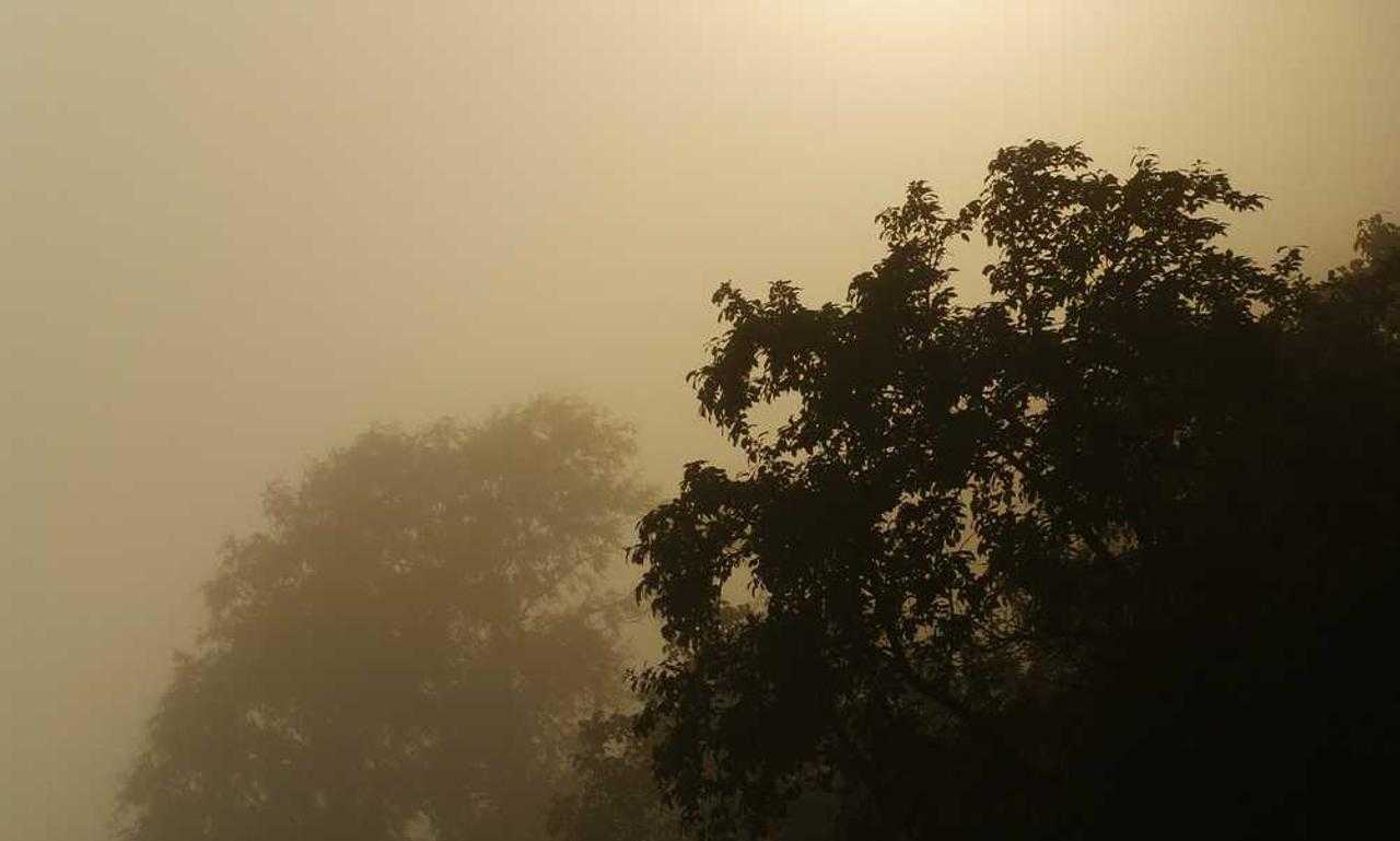 problems with dropbox 8737.idj.029.22