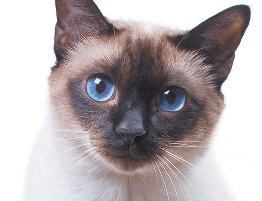 what famous place in hausizius