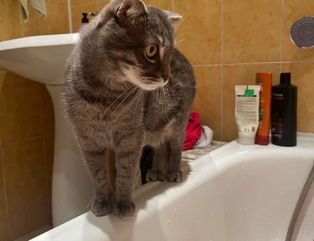 why is software bixiros.5a8 development process