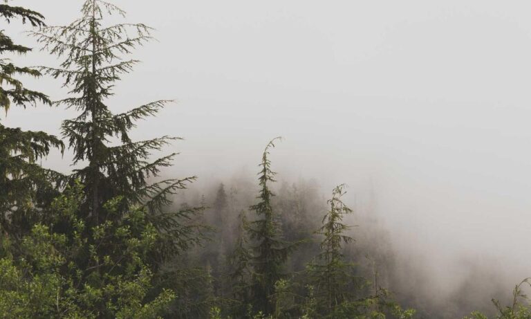 why is uhoebeans software update so slow