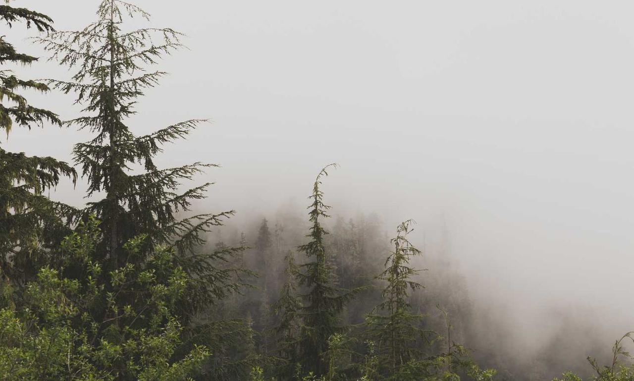 why is uhoebeans software update so slow