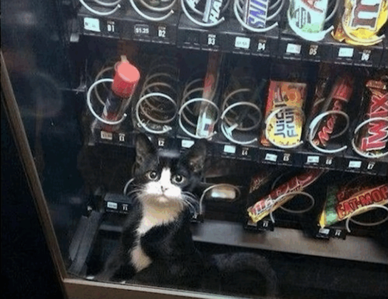 genboostermark software