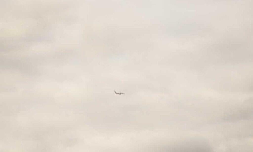 how to run genboostermark python in online