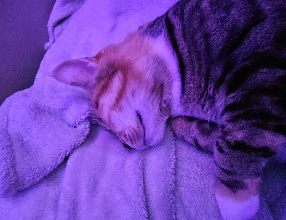 how to run genboostermark software