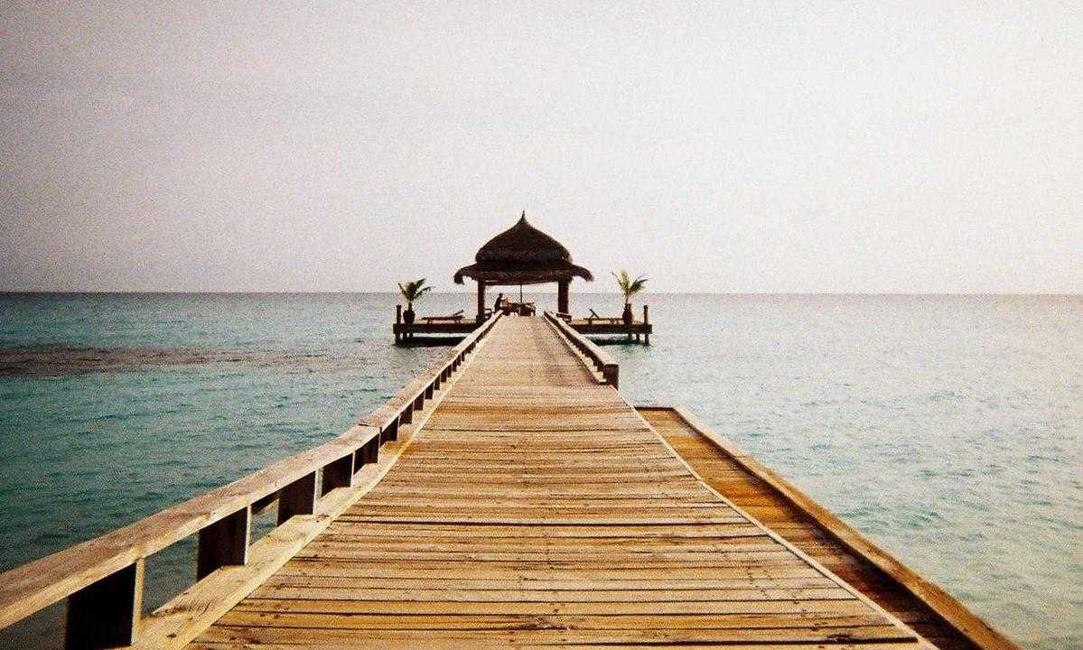 buzzardcoding updates 1