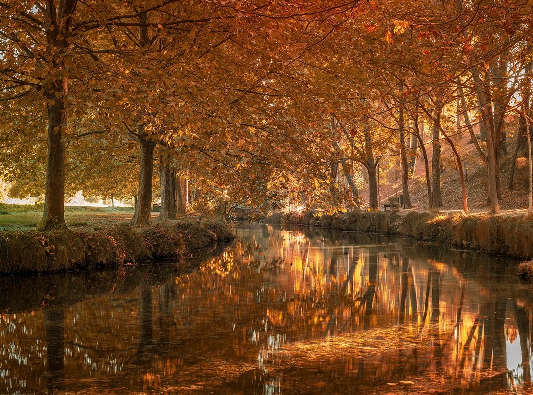 Importancia de la Altura en la Cultura Popular