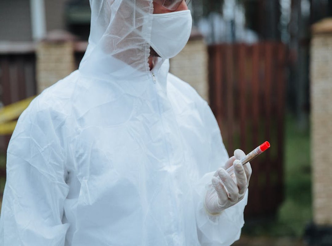 What Is Testing in Zillexit Software?