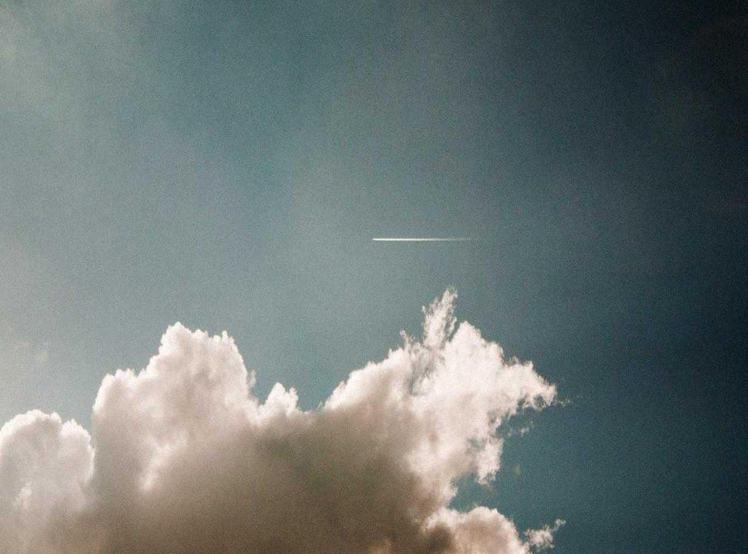 Evolution: From the 1916 Revolt to the Modern Palestinian Flag