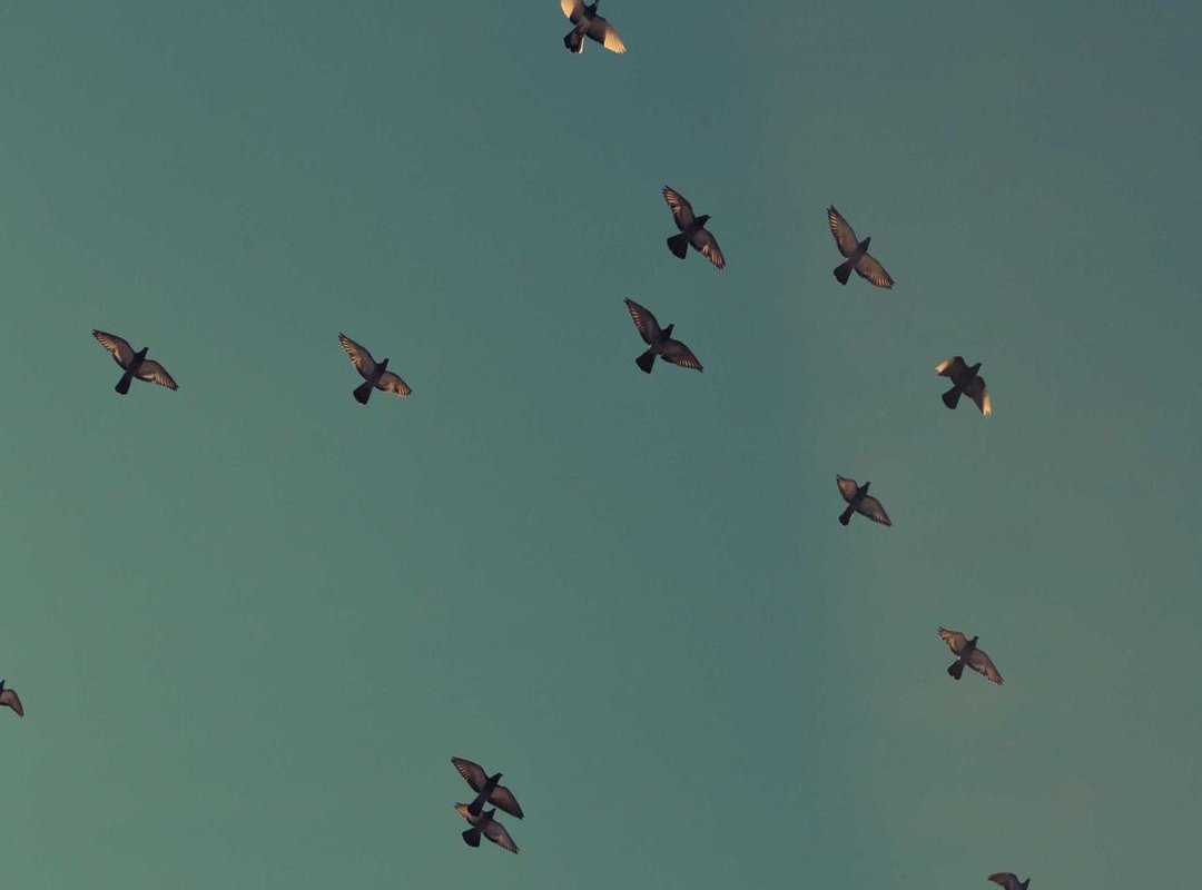 A Quick Comparison: Europe's Longest Capital Names at a Glance