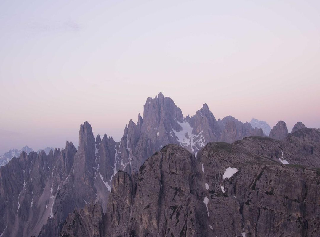 Beyond the Brand: What the Label Tells You