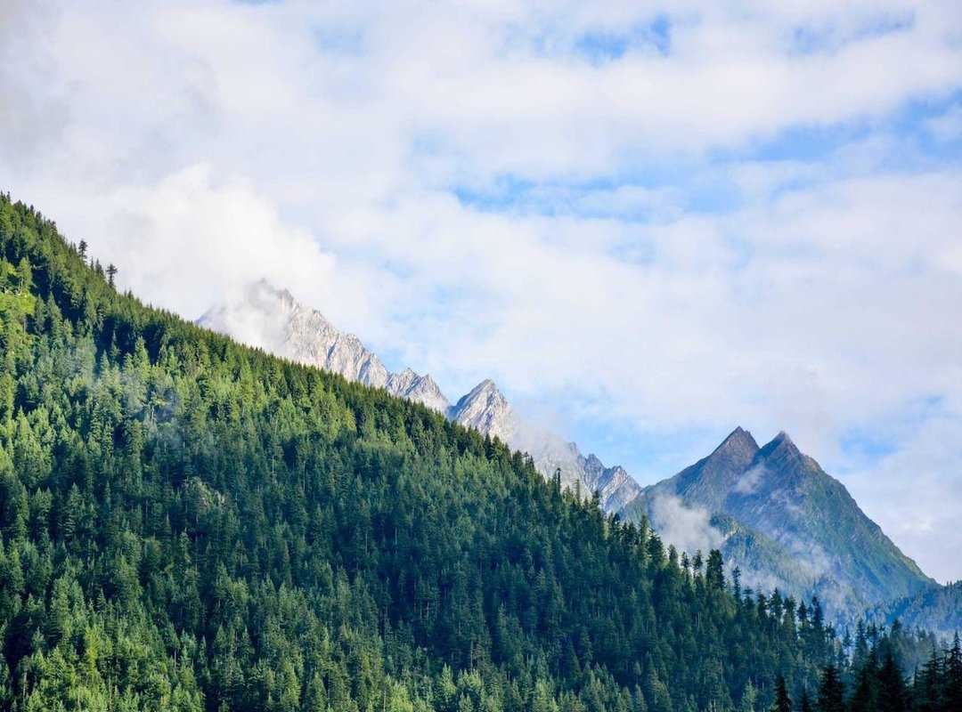distintas.nwt
