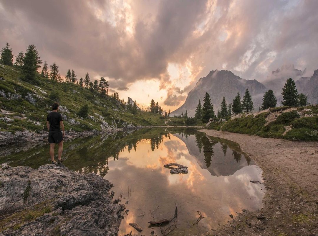 The Best Fluimucil Alternatives in Lidl's Cold & Flu Aisle