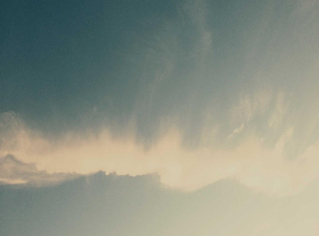 The Grand Finale: Cleanup and Displaying Their Masterpieces