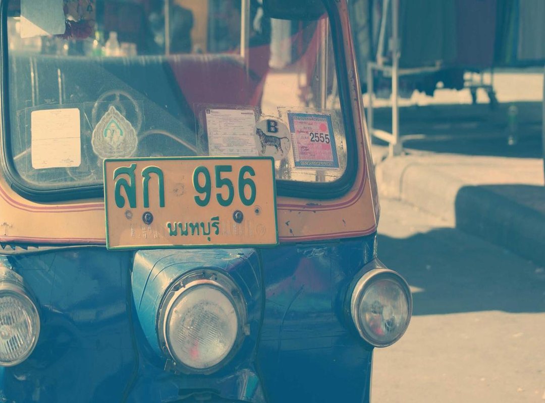 Iconic Moments and Archived Treasures: What to Look For