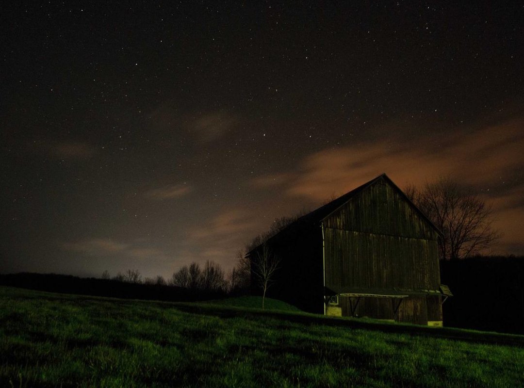 Impact and Reception: Public and Media Response