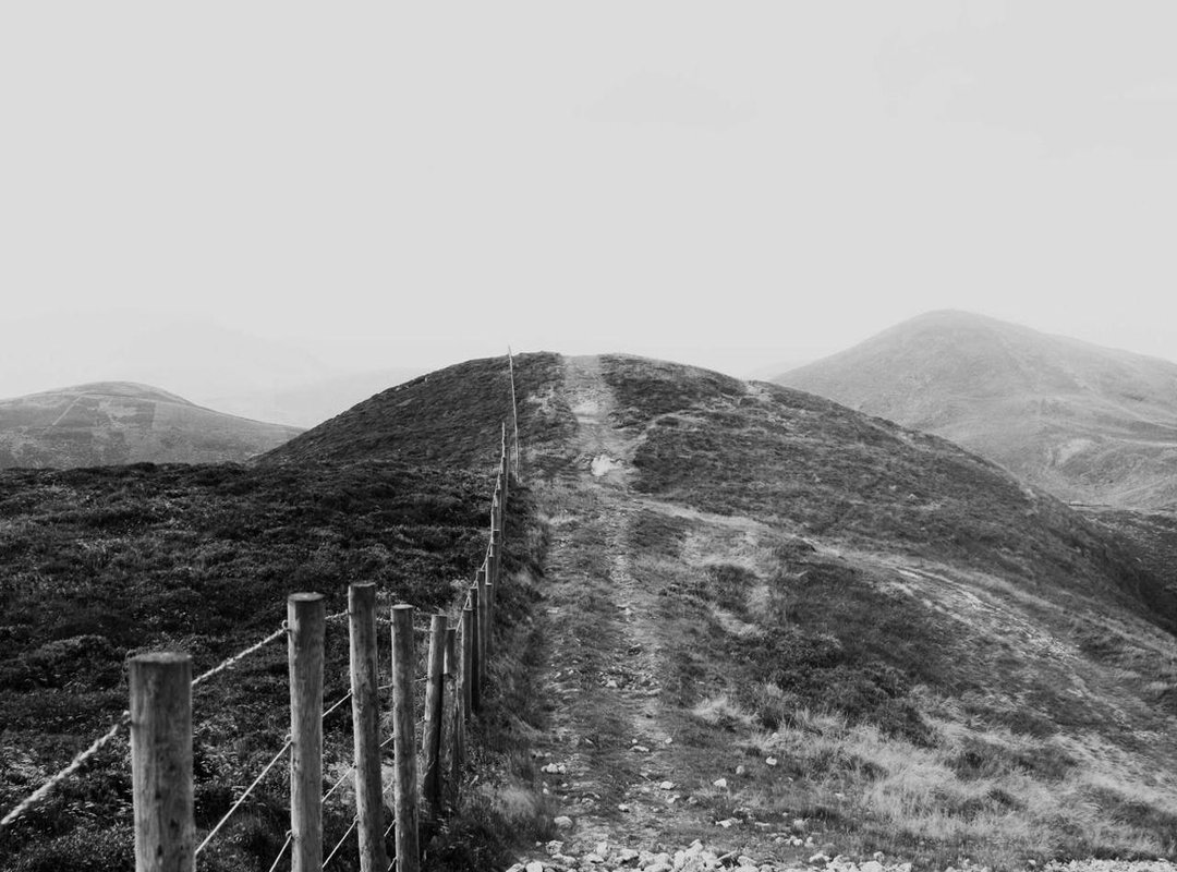 Player Transfers: Movements Between the Clubs