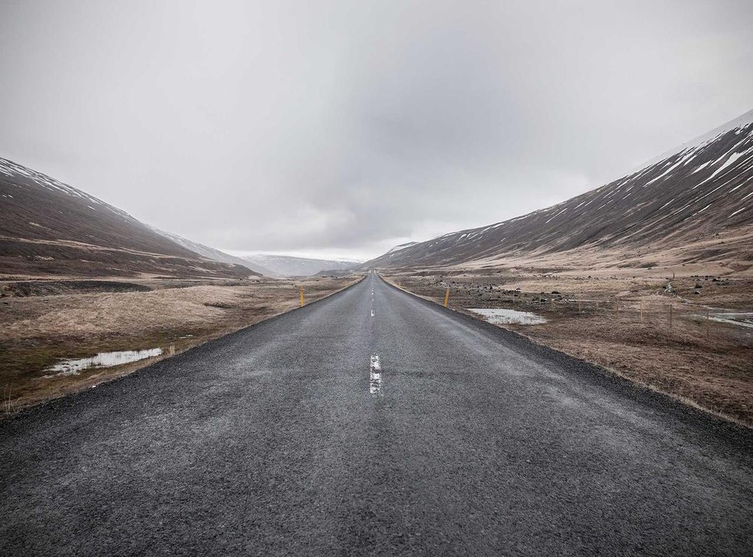 Where You've Seen Them Before: A Look at the Cast's Careers