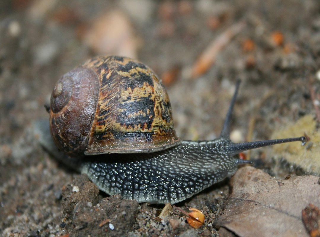 How to Access and Get Started with the Platform