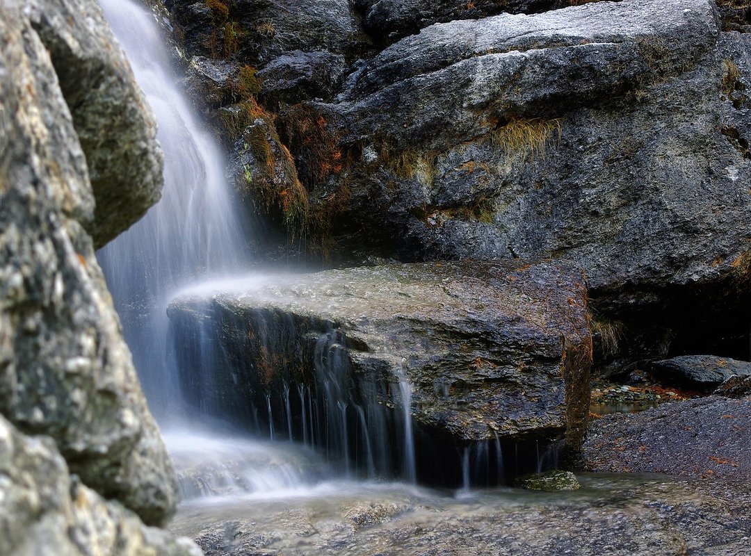 the beekeeper torrent